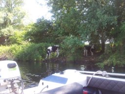 Unsere erste Bootsfahrt 2018 Dove Elbe