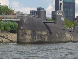4_4_20190516_1964787380