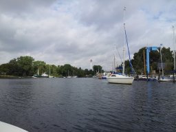 1_9_20190517_1182998467