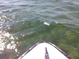 Ostsee_Priwall_024_20_05_2019