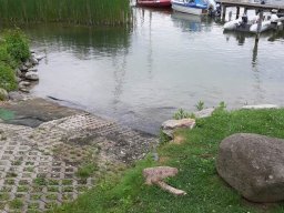 schwerin_slipper_2_20190716_1605145317