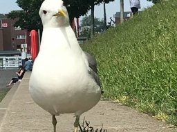 Malchow_03_07_2019