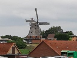 malchow_014_03_07_2019