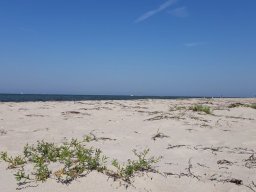 Ostsee_Priwall_031_24_08_2019