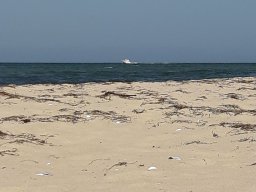 Ostsee_Priwall_032_24_08_2019