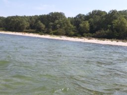 Ostsee_Priwall_033_24_08_2019