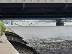 25072020_rettet_die_dove_elbe_1_20200920_1237587648
