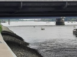 25072020_rettet_die_dove_elbe_23_20200920_1864256054