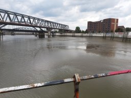 25072020_rettet_die_dove_elbe_26_20200920_1979771841