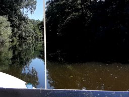 Billwerder_Insel_021_25_07_2021