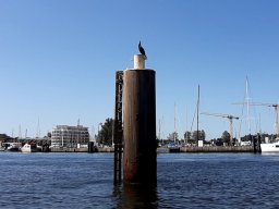 trave_luebeck_041_17_07_2021