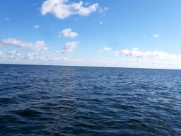 TraveHafen_010_11_08_2022