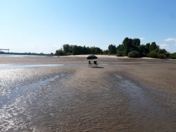 scheinesand_011_15_08_2022
