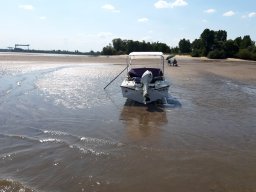 scheinesand_019_15_08_2022