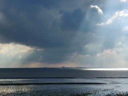 Holland_Hamburg_17_09_2023_049