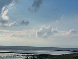 Holland_Hamburg_17_09_2023_051