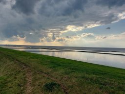 Holland_Hamburg_17_09_2023_058