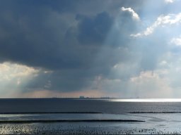 holland-nordsee_23_20231019_1137649336