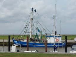 holland-nordsee_29_20231019_1356823750