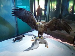 Ozeaneum_Stralsund