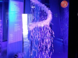 stralsund_ozeaneum_5_20190805_1192574267