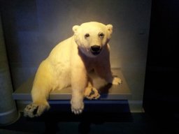 stralsund_ozeaneum_5_20190805_1791614342