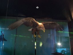 stralsund_ozeaneum_9_20190805_1846562246